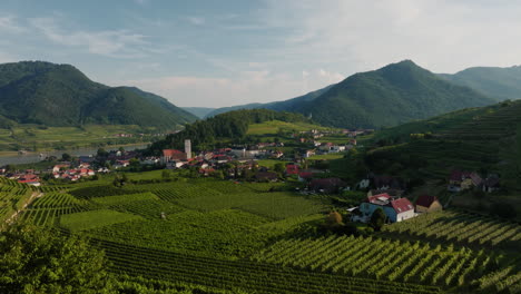 aerial push in above tourist overlook reveals stunning vineyards of spitz austria in lush wachau valley