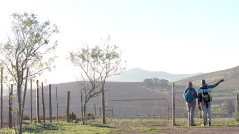 pareja de ancianos afroamericanos con mochilas caminando en la naturaleza soleada, cámara lenta