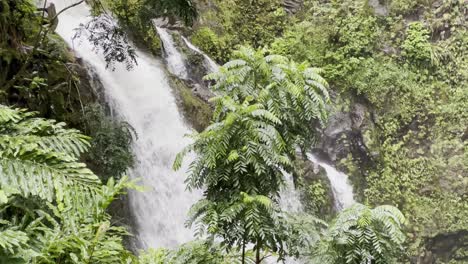 cinematic close-up booming up shot of a pristine waterfall on the road to hana in maui, hawai'i