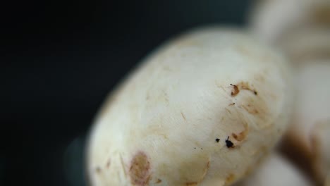 Macro-video-of-a-pile-of-mushrooms,-RAW-champignons,-WHITE-CAPS,-on-a-rotating-stand,-smooth-movement,-slow-motion-120-fps