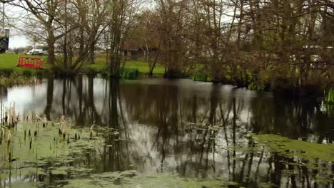 beautiful aerial shot of pond in london