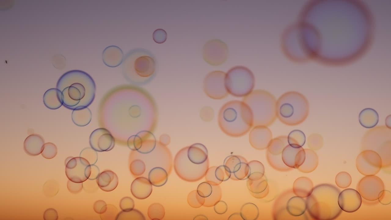 Soap bubbles on sky at sunset summer slow motion. Bright background multicolored bubbles smoothly fly in sky. Childhood, Freedom. Dreams. Relax. Happiness