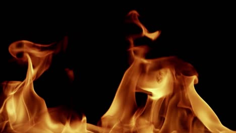 detailed fire in balck background.