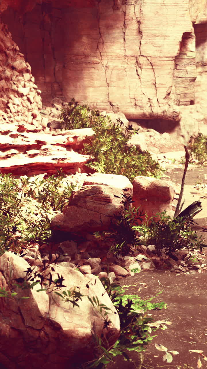 una cueva del cañón