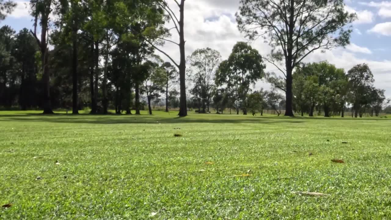 A vibrant green fairway bordered by tall trees under a partly cloudy sky.