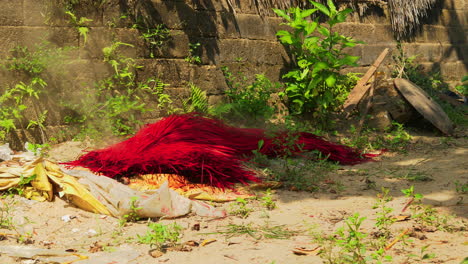 Freshly-colored-red-straws-drying-on-the-floor