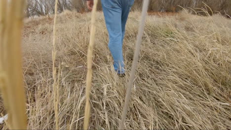 a legs walking through tall grass in winter or autumn - slow motion