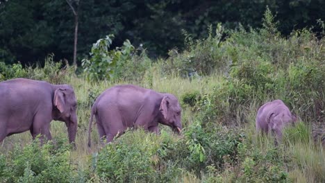 four individuals moving towards the right during the afternoon