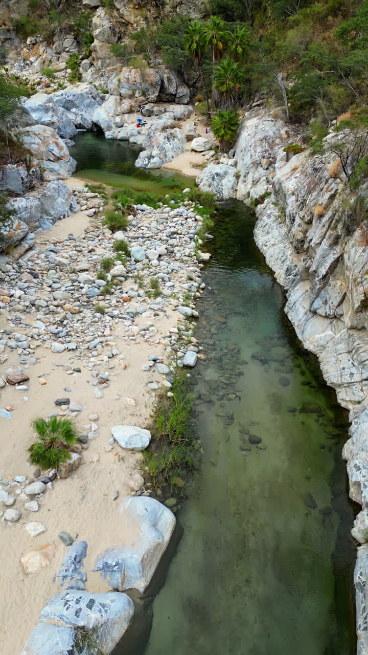 Aerial drone view of a narrow canyon river with crystal green water flowing between rocks and desert vegetation. Vertical