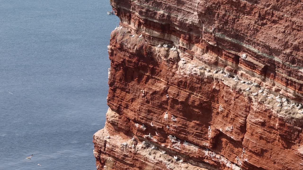 The Cliff and Rock formation at Helgoland, Heligoland, Germany, Europe