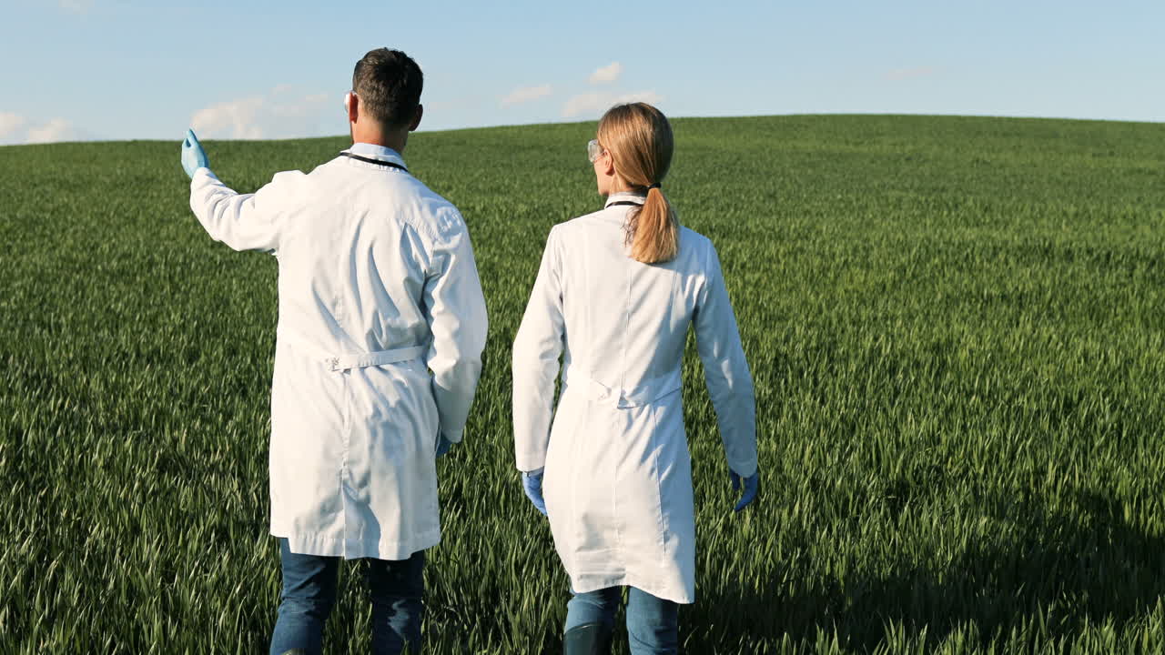 вид сзади на кавказских исследователей в белом халате, идущих по зеленому полю