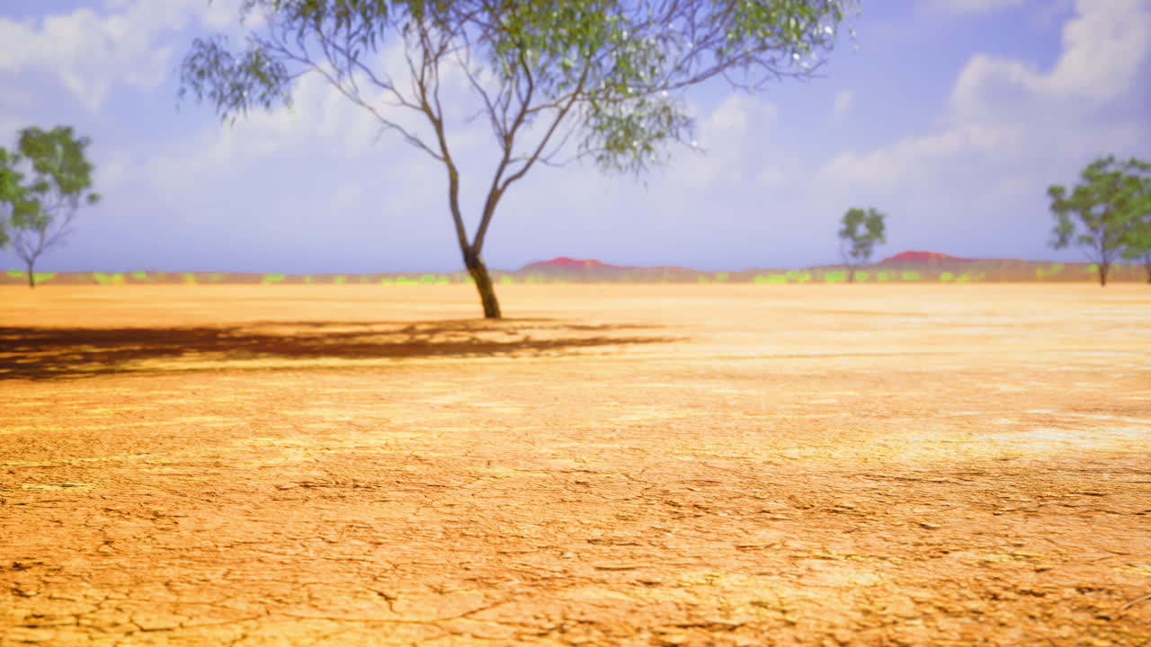 정오에 은 파란 하늘 아래 희박한 나무와 함께 건조한 풍경