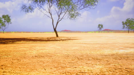dry landscape with sparse trees under a clear blue sky at midday