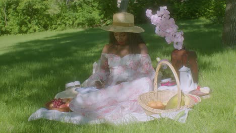 Mujer-Negra-Escribiendo-En-El-Parque-En-Una-Manta-Para-Picnic-Dolly-En