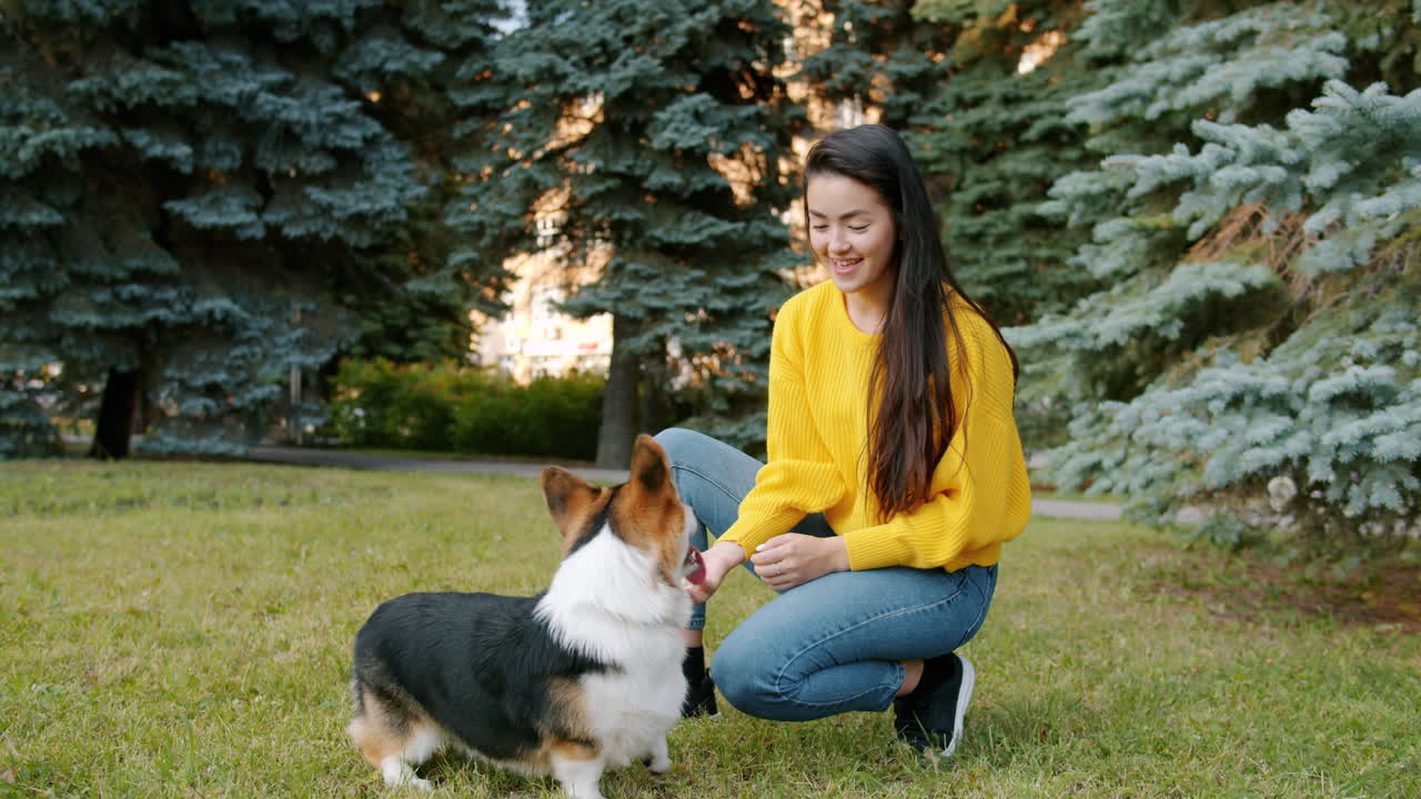 Woman playing with her dog in a park