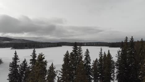 Aerial-Shoot-of-a-frozen-lake-surrounded-by-pine-trees-in-4K