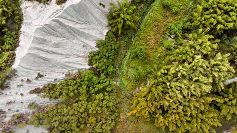 Aerial-top-down-shot-of-green-tropical-plants-covering-badlands-moonscape-scenery-in-Taiwan,-Tianliao-Moon-World,-田寮月世界---Drone-flyover-shot