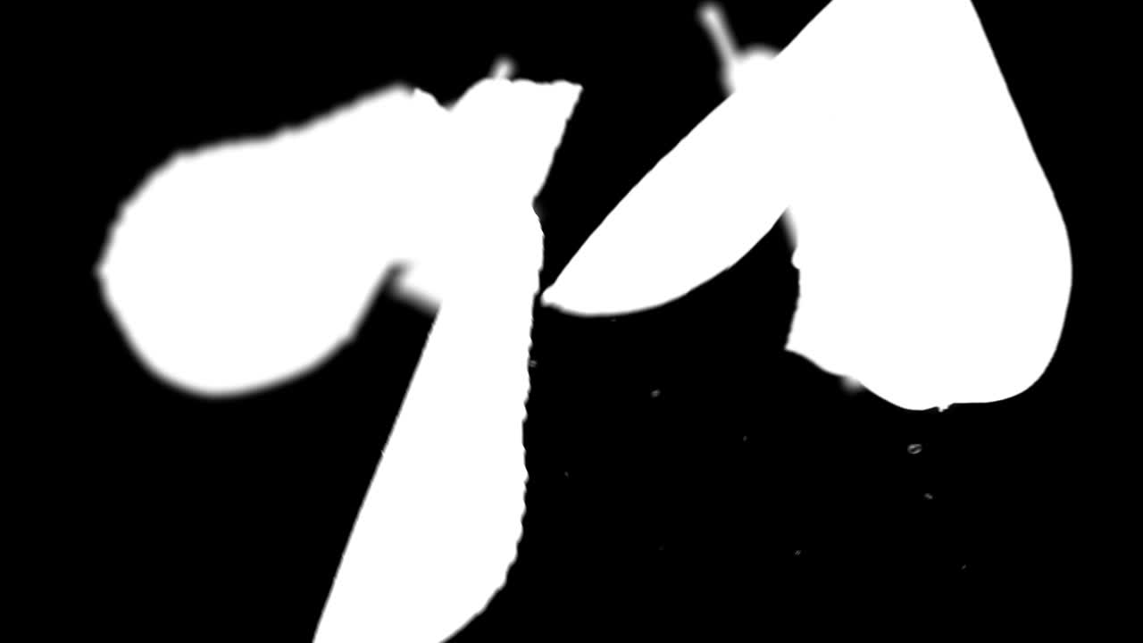 마 매트 (luma matte) 를 가진 진주와 개를 날리는 것