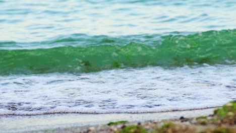water's waves dancing at the edge of the sea on a beach. white waves of transparent water on paradise beach in summer. slow motion. cose-up
