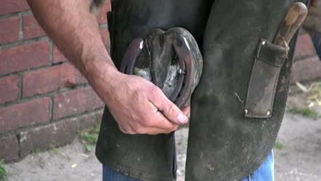 farrier hammering a nail into a horseshoe on a horses hoof, close up in slow motion