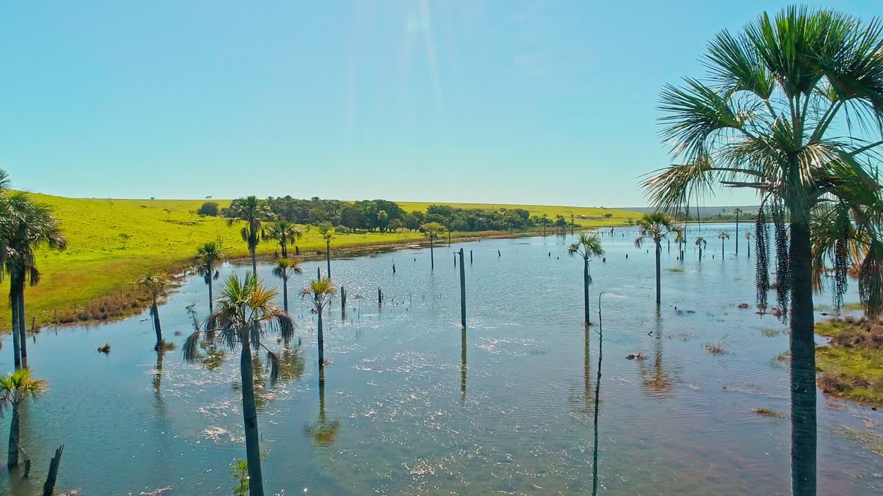 브라질 세라도 지역의 생물다양성 열대 습지 보호구역의 항공 영상
