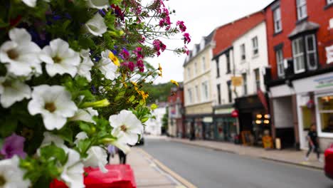 red car driving past flowers on wrexham street