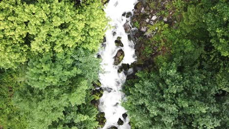 Wild-River-Flowing-Over-The-Rocks-By-The-Lush-Green-Forest-In-Obersee-In-Nafels,-Switzerland