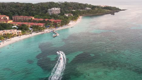 aerial view of the coast, speed boats, green palms on sandy beach at sunset