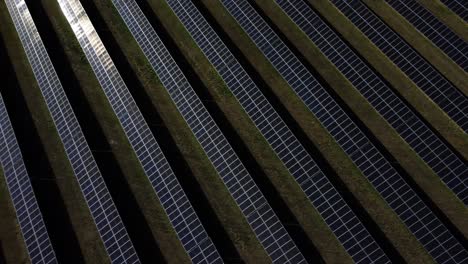 reflective solar panels in the middle of the field in summertime