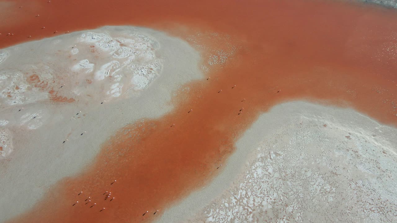 Drone passes red-tinted water and salt ridges in Laguna Colorada during midday sun