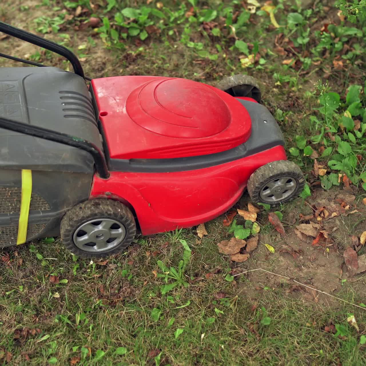 Red lawn mower cutting grass