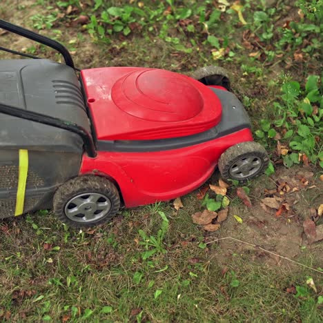 red lawn mower cutting grass