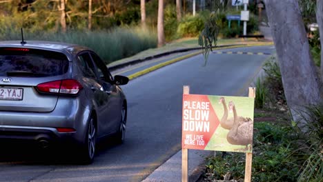 car driving past 'please slow down' sign