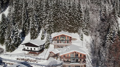 Modern-Holiday-Homes-In-The-Foothills-Of-Mountains-With-Pine-Tree-Forest-In-Langau,-Austria