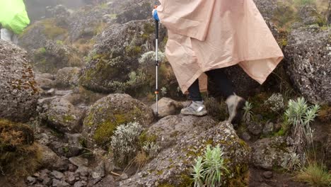 Travelers walk in a poncho with backpacks and trekking poles during the rainс