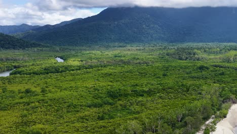 drone glides smoothly above dense, vibrant rainforest in port douglas, revealing mountain backdrop, river, and dramatic cloud cover in natural daylight