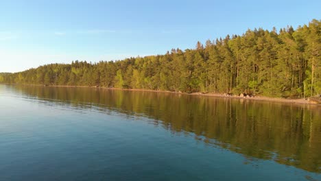 Drone-flying-towards-forrest-with-water-reflection