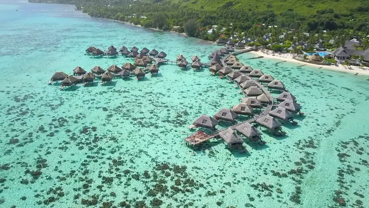 Tropical Overwater Bungalows in Paradise
