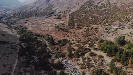 Aerial-flying-above-valley-with-channel-and-trees-at-the-Andes,-Chile,-4K