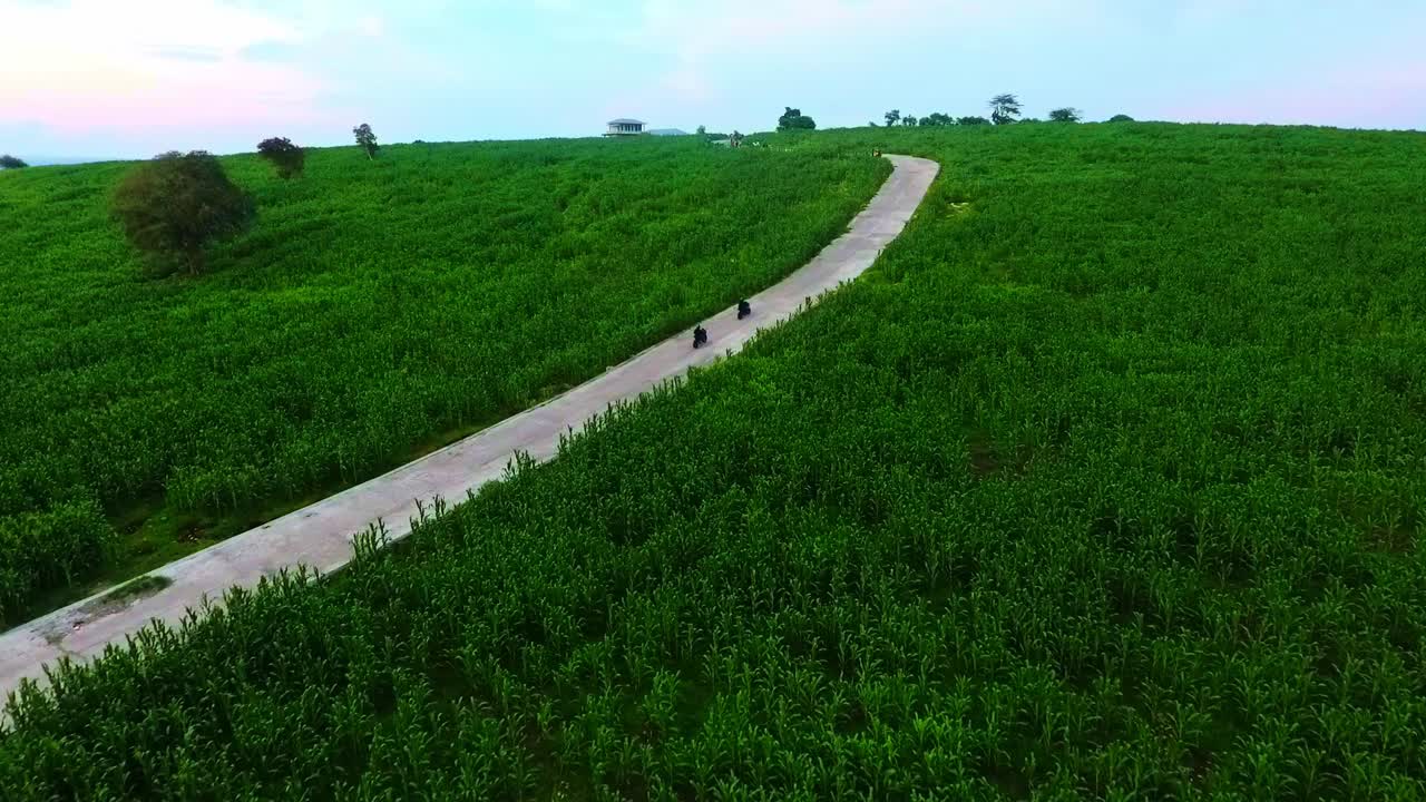 인도네시아 사모타, 옥수수  위의 공중 풍경