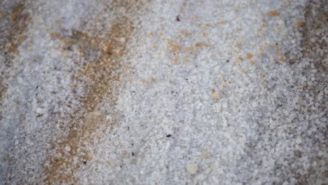 salt deposits dead sea israel shoreline coast coastline shore salt sea