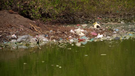 botellas y bolsas de plástico contaminación en el estanque 03