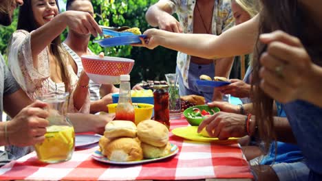 group of friends passing the plate of meal at outdoors barbecue party