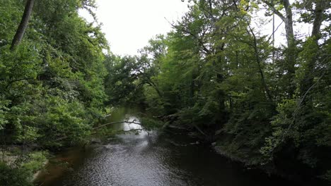 aerial dolly along wide river lined with lush green deciduous trees, sunlight reflects on water