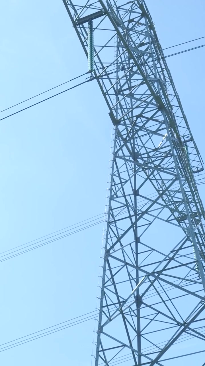 Low Angle View of Electricity Pylon and Green Tree Branches
