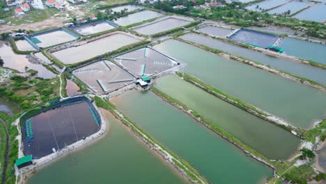 Increíbles-Imágenes-De-Drones-De-La-Cría-De-Camarones-En-Tuy-Hòa,-Vietnam