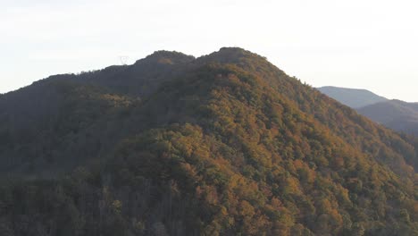 aerial view of a hill with thick forestry