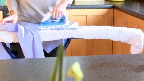 portrait of a woman ironing a shirt