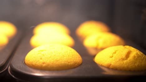 time lapse of batter rising and becoming cupcakes inside the oven