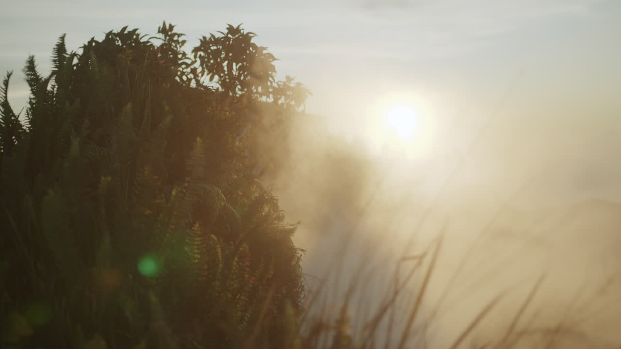 바람이 많이 부는 화창한 날 바투르 화산에서 나오는 하얀 증기